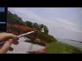 Beached Whaler 17