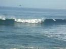 Big Wednesday 07 @ La Jolla cove