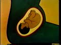 Prenatal and Postnatal Infant Care and Feeding / Educational Video