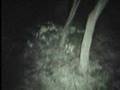 Paranormal Ghost (?) footage!
