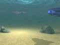 videos de Submarines clashing underwater