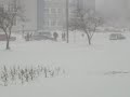 Winter in Greifswald 2010