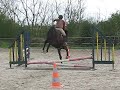 le-on-au-gros-caillou-saut-dobstacle-3-.html