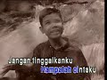 exist janji padamu