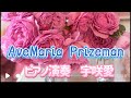 AveMaria Prizemanピアノ演奏宇咲愛