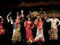 Flamenco Dance Flamenco Dance