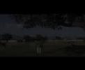 Haiti_Jacmel Journals_\"Pumpkin Soup\"  Video Short