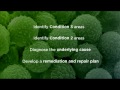 Video Thumbnail Image