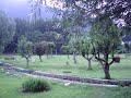 A Garden in Pahalgam, Kashmir, India. Romantic Nature @ its best ! - Pahalgam, Kashmir, India
