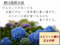親のこころ:木村耕一(1万年堂出版)