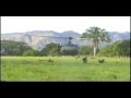videos de CURSO COMANDOS JUNGLA