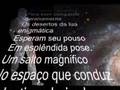 POEMA ESCRITO - LUNÁTICO SELÊNICO - Euler Luther Walkan