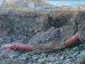 Coastal Erosion - the quiet crisis