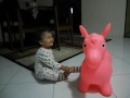 Click here to watch this video cavalinho 010.AVI