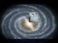 videos de норкомания