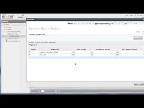 how to fill online tender
