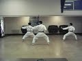 Nijushiho Team Kata practice