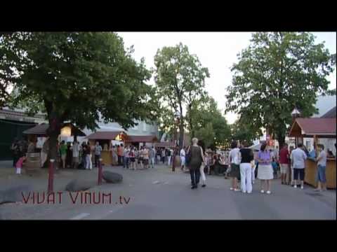 Rotweinfestival Deutschkreutz - Rotweinfestival Deutschkreutz 2010.