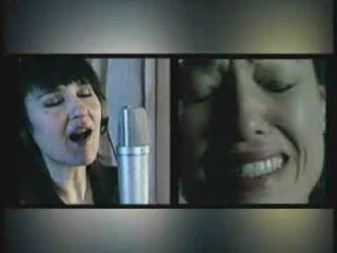 Ver Video