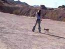 Isis Lee & Kiwi - Puppy Soccer Isis Lee & Kiwi - Puppy Soccer