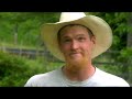 The Mystery of the Disappearing Honeybees