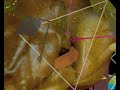 Artifact Shore: Instruments of the Devil promotional short