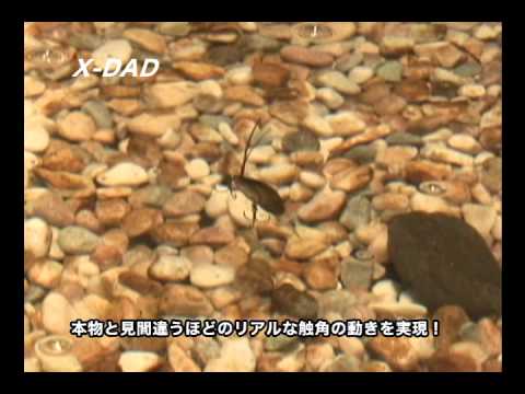 See video