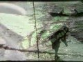 A FOTOGRAFIA DE MARCELLO MEDEIROS