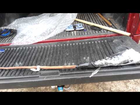 how to fertilize black walnut trees