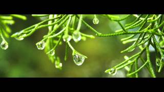 Relaxation - Buddhist Meditation