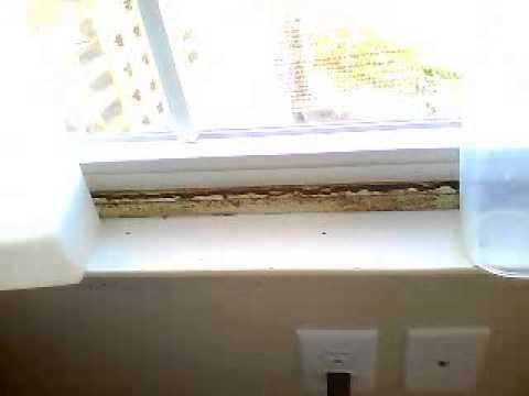 Clayton homes;bad manufacturing,management and setup crew