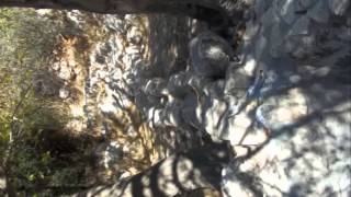 صور دير ايوب ج2_ ال ابودهاك صور دير ايوب ج2_ ال ابودهاك