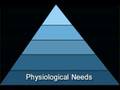 Psychobabble 101: Maslow's Hierarchy of Human Needs
