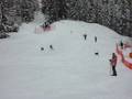 Stevo World's SuperG