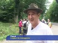 Champignons : les secrets de la cueillette Champignons : les secrets de la cueillette