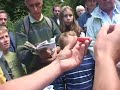 Champignons-les-secr