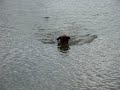 Duke Swims