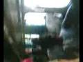 videos de amanda
