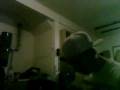 videos de BONG HOOT