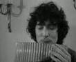 Platinaplaat voor muziekgroep Flairck (1980)