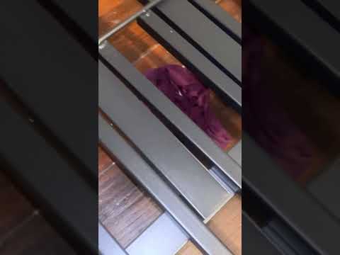 Priceline - Horrible unsafe stay - Image 3