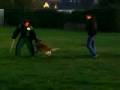 MOV02772 MOV02772