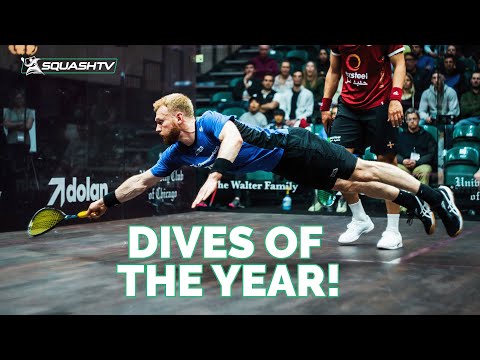 The BIGGEST and BEST DIVES of 2023 
