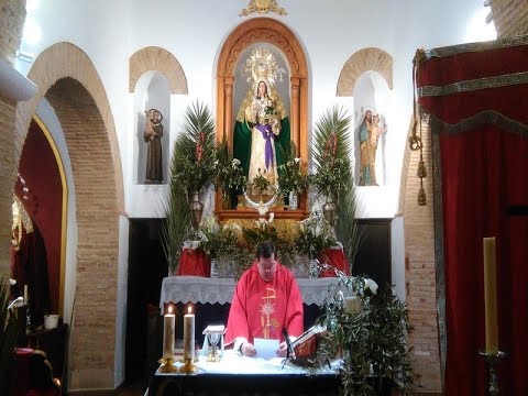 Bendición de Ramos y Solemne Misa de Domingo de Ramos