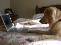 Molly watching her own video