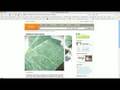 UXvids - Images and Merchandising