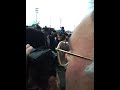 Barbarians arriving for game with the All Blacks