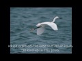 The Amazing Flight Of Birds Mentioned by the Qur'an.wmv