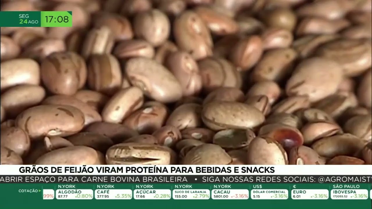 Grãos de feijão viram proteína para bebidas e snacks