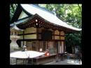 Asia Travel Tokyo Meiji Shinto Shrine